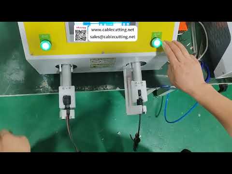 Dual Head Auto Nut Tightening Machine  Adjustable Torque & Anti Damage Jig Assembly Processing