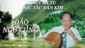 NSUT Ba Tu Độc Tấu Đàn Kìm Bài Đảo Ngũ Cung