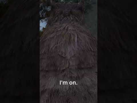 DayZ is a Very Realistic Survival Game