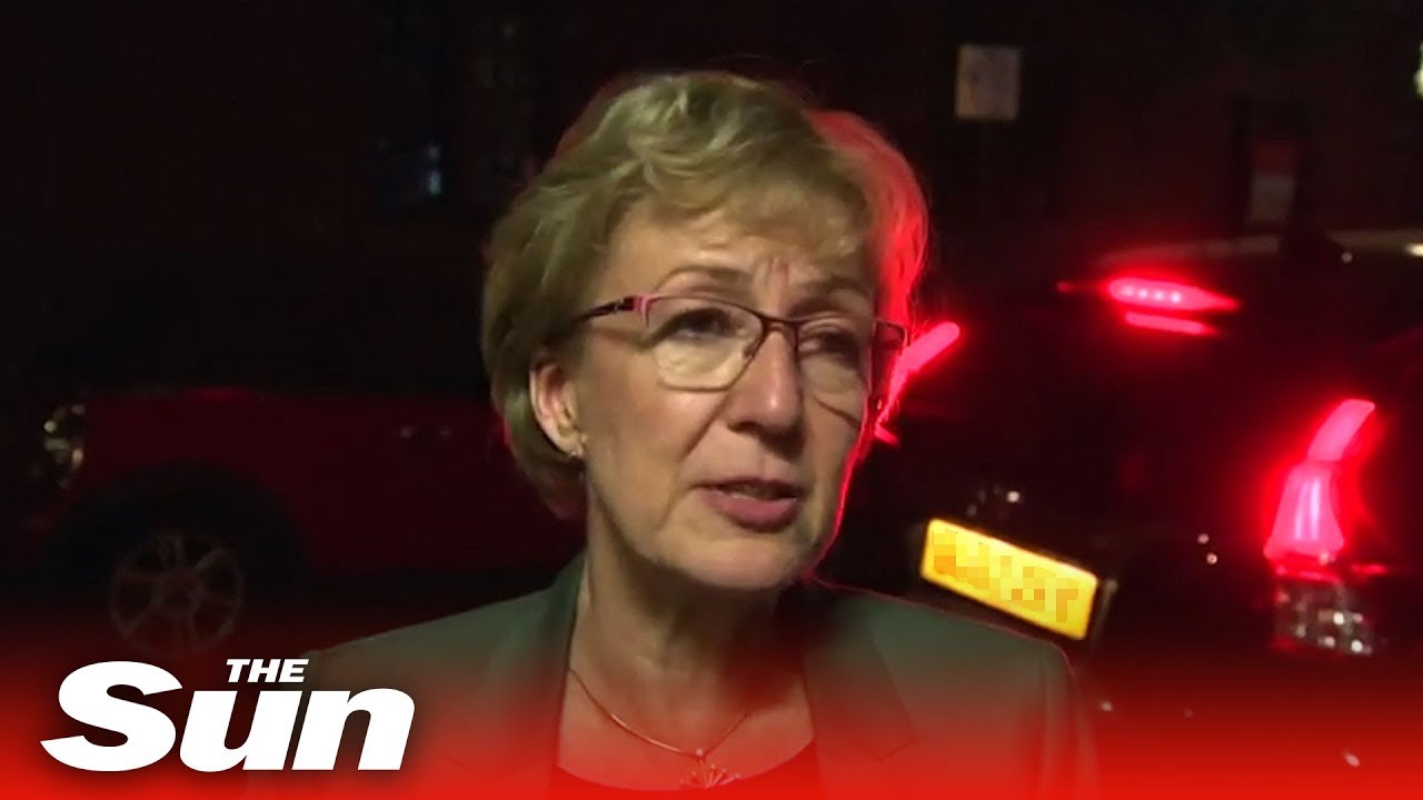 Leader of the House of Commons Andrea Leadsom resigns over Theresa May’s Brexit plan