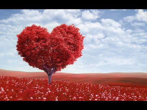 لايف 6 4 2022 ما تشغلش بالك