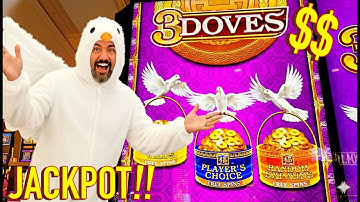 Epic Family Picker Jackpot!