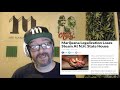 Cannabis News - Is Legalization Inevitable? | Ep. 550 | 12-13-2019