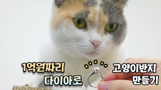 세계최초! 3D펜으로 1억원짜리 고양이 반지를 만들었다고?? 【산냥고】 | 고양이산책