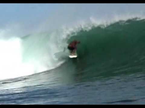 Fat Surfer - Jimbo Pellegrine