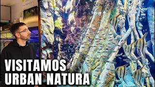 URBAN NATURA tiene 46.000 Litros de Pura Acuariofilia | Tienda en Barcelona 🐠🌿