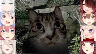 Hololive Girls Reaction To Cat Jumpscare Cute Japan Stigmatized Property