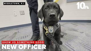 Middletown Police Department introduces K-9 Luke screenshot 3