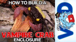 How to Build a Vampire Crab Enclosure | BigAlsPets.com