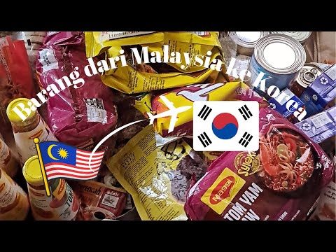 Things I brought from Malaysia to Korea (mostly food)