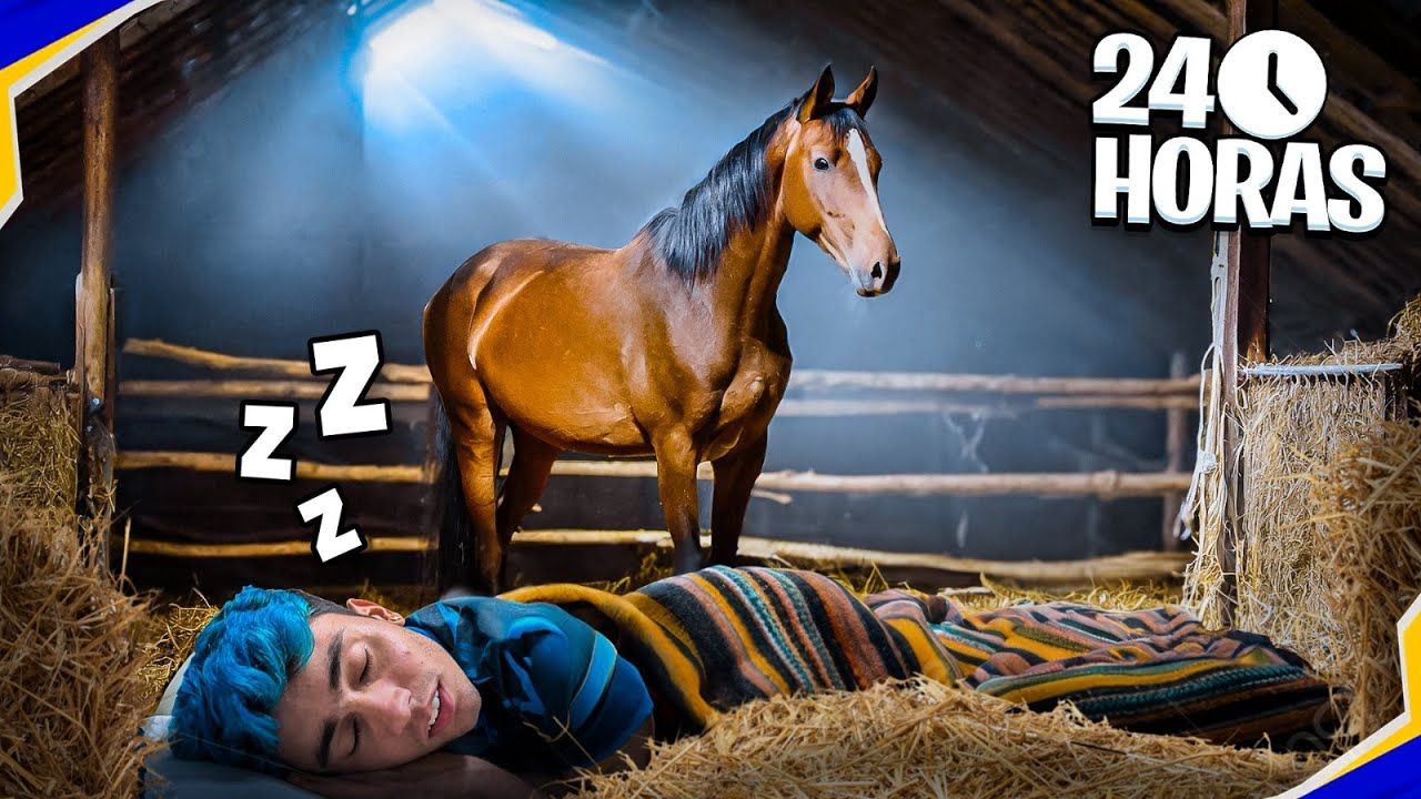 PASSANDO 24 HORAS ESCONDIDO COM UM CAVALO!!⚡🐴
