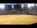 Jota de los toros en Zaragoza 10 10 2013