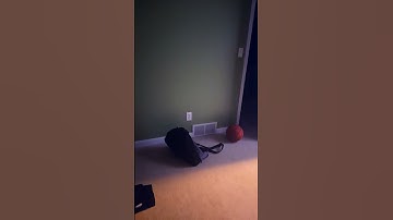 Perfect loop? #funny #loop #satisfyingloop #endlessloop #perfectloop