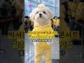 박서진💛콘서트보러가요😁광주,대구콘서트 일정💕