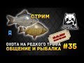 Стрим Русская Рыбалка 4 #35 - Охота на редкого трофея. Общение и Рыбалка (Russian Fishing 4)