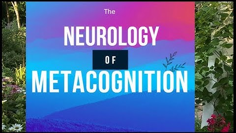 The Neurology of Metacognition