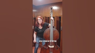 Introducing the Viennese Bass