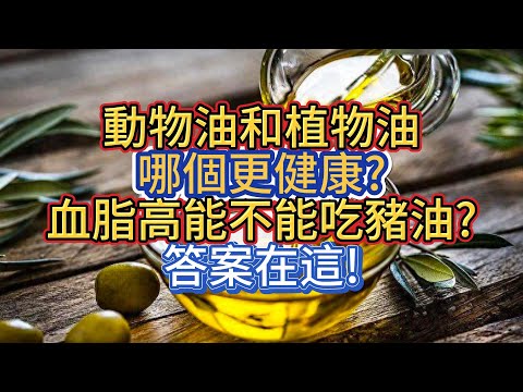 動物油和植物油哪個更健康？