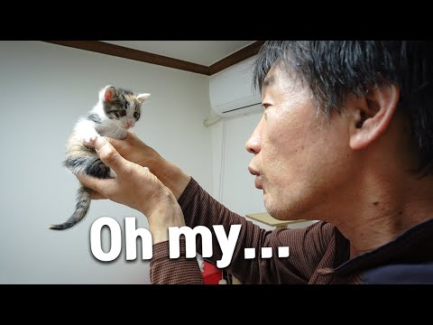 My Dad who <strong>Hates</strong> Cats Finally Met the Rescued Kitten!