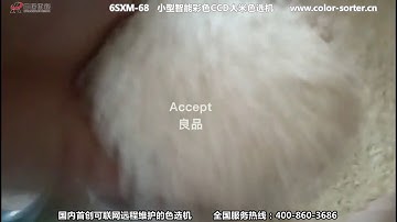rice color sorter , wesort rice color sorter