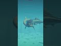 Dunkleosteus VS Loch Ness - Elasmosaurus  #jurassicworld #dinosaur #dinosaurs #fishit #roblox  #jwe2