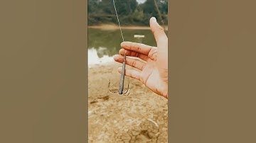 Câu cá bằng cách Câu ba tiêu