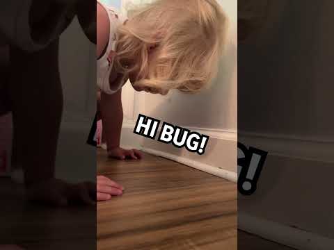 Excited toddler introduces herself to ants | Humankind #shorts #goodnews