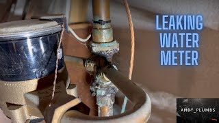 Leaking water meter