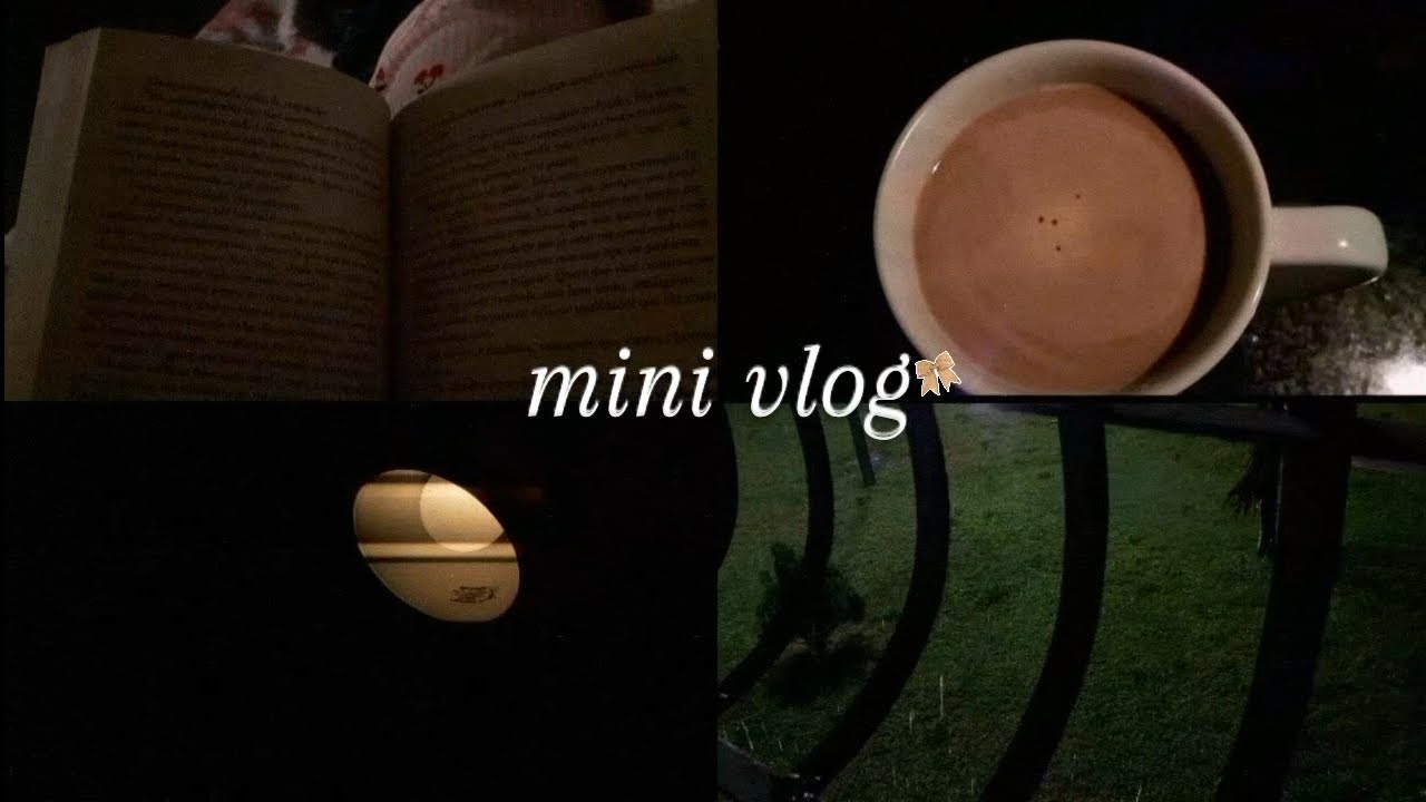 carnaval & life diaries - rainy days, study with me, livros, chocolate quente, calm vlog...