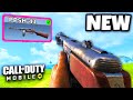 *NEW* PPSH-41 GUN GAMEPLAY!! 😍(COD MOBILE)