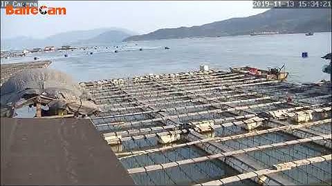 Recording demo video of PTZ IP camera | Baitecam