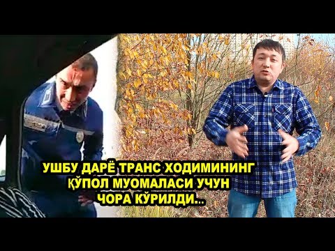 ДАРЁ ТРАНС ХОДИМИГА