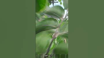 SCUM - Puppet Shenanigans #Shorts