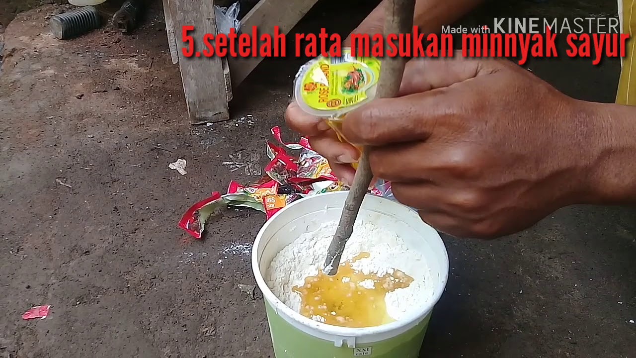 Cara bikin umpan ikan blanak