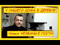 У ДОМА В ДЕРЕВНЕ НОВЫЕ НЕЗВАНЫЕ ГОСТИ.