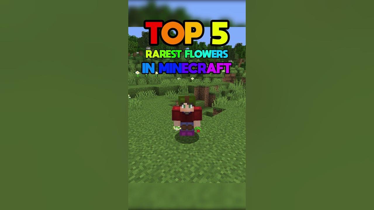 RAREST FLOWERS IN MINECRAFT YouTube