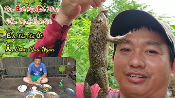 Câu Ếch Nghịch Mùa Ở Miền Tây Về Xào Xã Ớt Quá Ngon l Dân Quê 66.