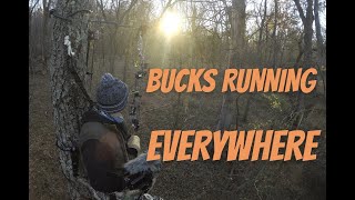 Giant Public Land Buck on Film! Late November - Rut in Illinois Still Popping!
