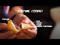 Fortune Cookies for Chinese New Year | Running and Eating Across America