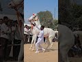           horsehorse danceghodaghoda wala dance