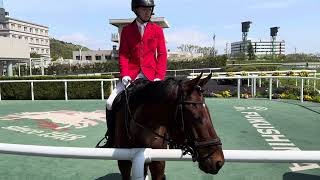 2024.4.20福島競馬場の誘導馬ヨシオ、最後のウィナーズサークルでの