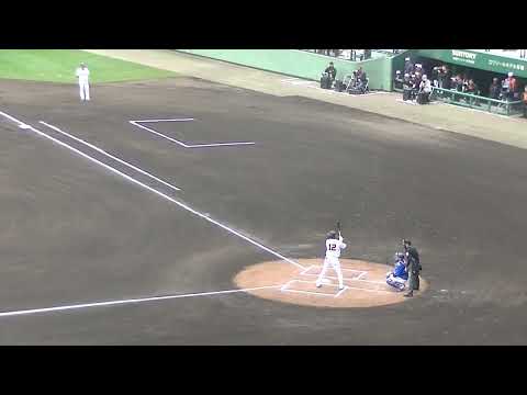 柴田竜拓が素晴らしいプレーなど 庄司陽斗が巨人の中山礼都や萩尾匡也を抑える  横浜DeNAベイスターズ 練習試合前 2025年2月18日