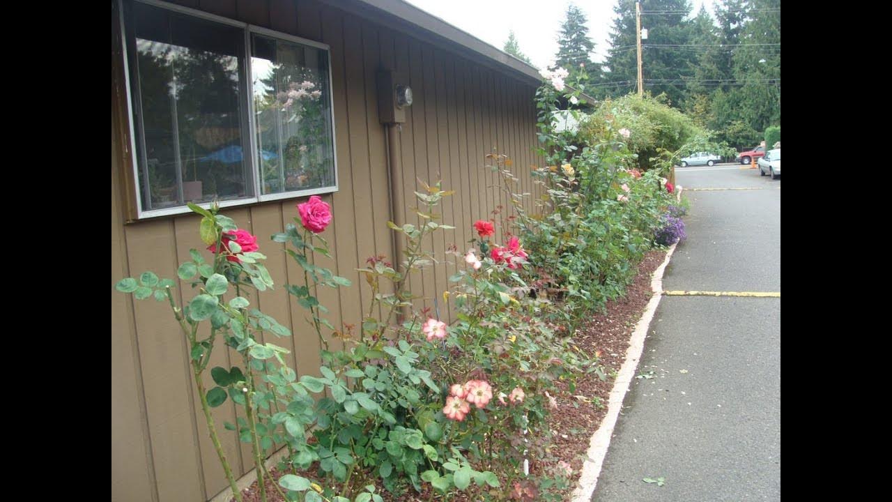 Apartment for Rent in Vancouver WA 2BR/1BA by Vancouver WA Property