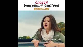 🤭💕Спасся благодаря быстрой Реакции 😆 Фильм: Авангард: арктические волки 🎥💕