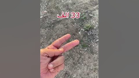 بعضهم قد لا يعلم معنى كلمة ( بورقكم ) في سورة الكهف
