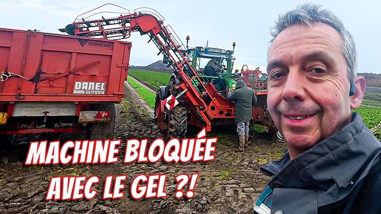L'arrache du céleri sous gel bloque la machine ! ❄️