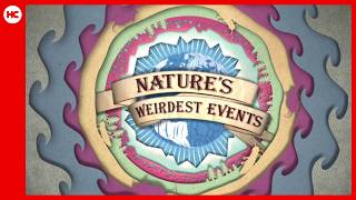 Nature’s Weirdest Events | Title Design & Motion Graphics