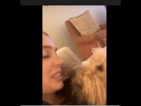 This Youtuber DELETES THIS video of her KISSING HER DOG This is gross