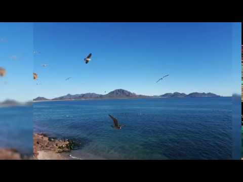 MIRADOR DE SAN CARLOS  GUAYMAS SONORA Y EL EMBARCADERO