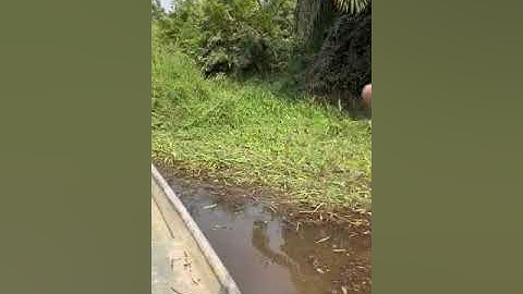 Flood Mitigation Clearing (or Dredging) of Opa Aro river ways - V0010